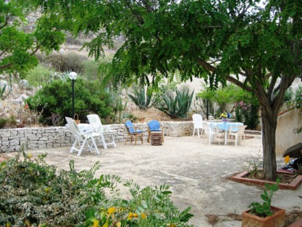  GARDEN IN THE BACK OF THE HOUSE